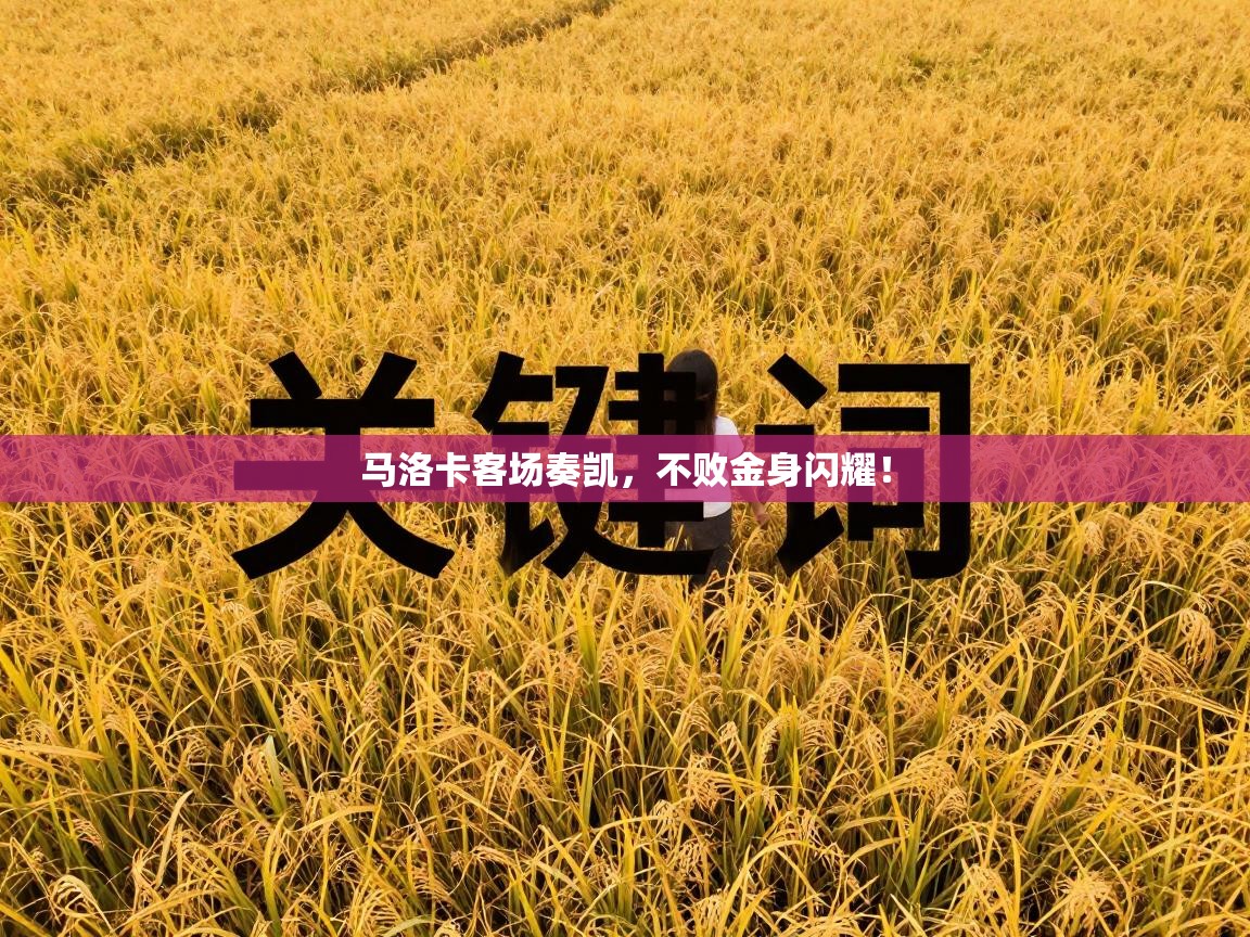 马洛卡客场奏凯，不败金身闪耀！  第2张